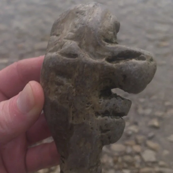 A stone with what looks like a face, held in a hand