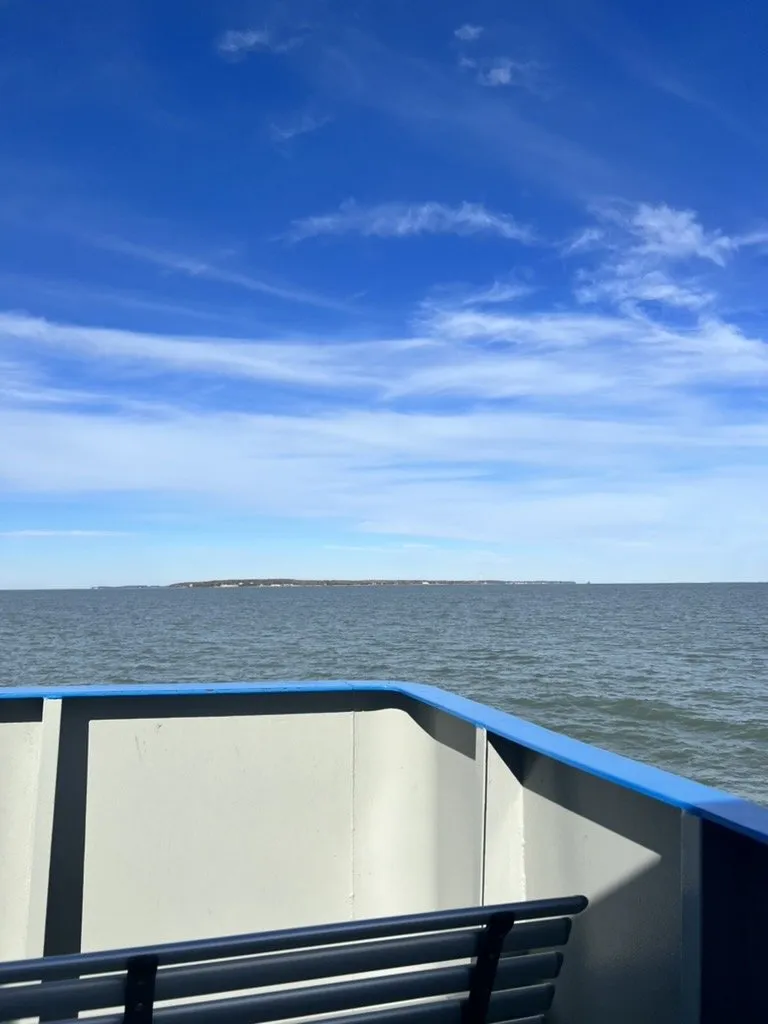 A ferry rail with a low island on the horizon